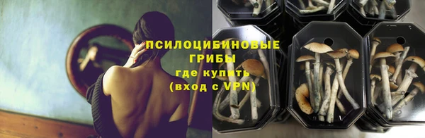сатива Навашино