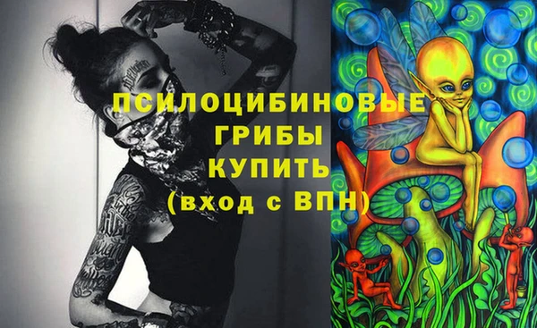 дмт Алексин