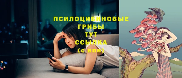дмт Алексин